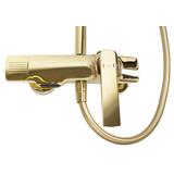 DouchesetREA REBEL GOLD