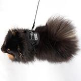 Smycz i szelki dla psa PJ-047 czarna XS