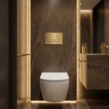 Ugradni Set za WC 024N sa HD Gold Tipkom