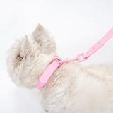 Smycz i obroża dla psa PJ-068 różowa S