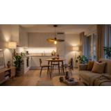 Плафон APP1470-1CP BLACK/OLD GOLD