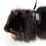 Smycz i szelki dla psa PJ-047 czarna XS