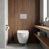Concealed WC Frame Set Slim 024N with Titan T Brush Steel