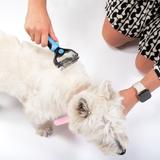 Zgrzebło - profesjonalna szczotka przeciw kołtunom PJ-040