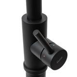 Robinet de cuisine Rea Fresh Black Mat