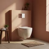 Toilet Flush Button Rea HD K011A-Q Chrome