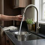 Kuhinjska slavina Rea Master Brush Nickel