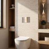 Concealed WC Frame Set Slim 024N with Titan T Brush Steel