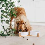 MISKA NA KARMĘ I WODĘ DLA ZWIERZĄT BIAŁA 331579