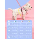 Smycz i szelki dla psa PJ-062 niebieska L