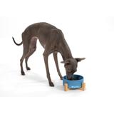 Miska Ceramiczna Dla Psa lub Kota Niebieska PJ-033