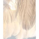 Deckenlampe mit Feder Gold APP662