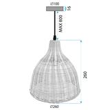 Deckenlampe NATURAL APP1645-1CP