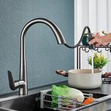 REA Ross virtuves jaucējkrāns BRUSHED NICKEL INOX