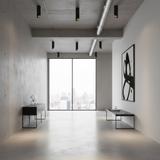 Deckenlampe Black Gold 30 CM APP572-1C