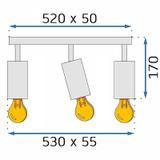 Deckenlampe APP1243-3C Black