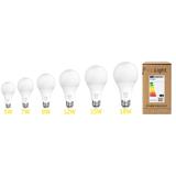 Glühbirne LED RSL028 E27 12W Cold