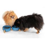 Miski Ceramiczne Dla Psa lub Kota Niebieskie PJ-080