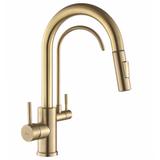 Kitchen faucet Eco Fresh BRUSH GOLD