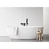 Rea Fenix vannisegisti must