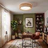 Lampa sufitowa plafon APP1934-C 50cm