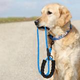 Smycz i obroża dla psa odblaskowa PJ-037 niebieska