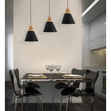 Hängelampe SCANDI C Black