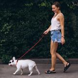 Smycz i obroża dla psa odblaskowa  PJ-035 czerwona