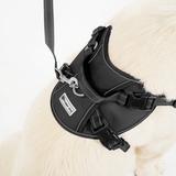 Smycz i szelki dla psa PJ-059 black L