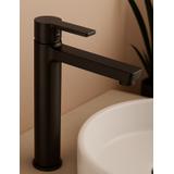 Waschbeckenarmatur REA ARGUS TITAN High