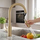 Kuhinjska slavina Rea Fresh Touch Brush Gold