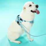 Smycz i szelki dla psa PJ-065 zielona XL