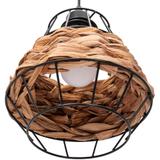 Deckenlampe APP989-1CP