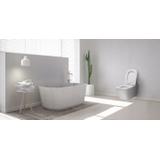 Hangende toilet Rea Raul