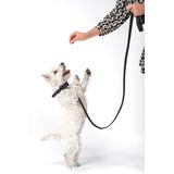 Smycz i obroża dla psa PJ-075 czarna L