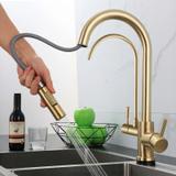 Kitchen faucet Eco Fresh BRUSH GOLD