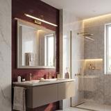 Настінний LED світильник для ванної SWE023-1W 60cm Brush Gold