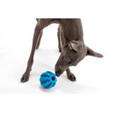 Piłka gryzak dla psa Niebieska PJ-039