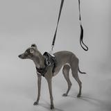 Smycz i szelki dla psa PJ-055 czarna M