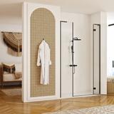 Душевые двери Rea Hugo 110 Black