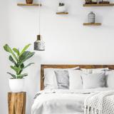 Hängelampe Lastri White APP931-1CP