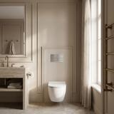 Concealed WC Frame Set Slim 024N with Titan T Brush Steel