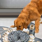 MATA WĘCHOWA DLA PSA PJ-028