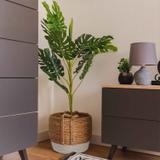 Zestaw 2szt Koszy Naturalnych BOHO YT21B-34