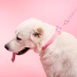 Smycz i obroża dla psa PJ-076 różowa L