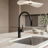 Смеситель кухонный REA Rivo Black