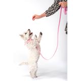 Smycz i obroża dla psa PJ-068 różowa S