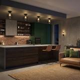 Плафон APP1303-1C Black