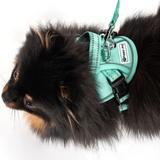 Smycz i szelki dla psa PJ-049 zielona XS