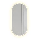 Mirror LED OVL 50x100cm Brush Gold